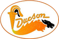 logo ducson