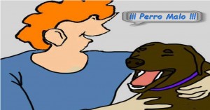 Subí las escaleras, lo agarré por el cuello y le dije: "PERRO MALO".