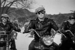 Marlon Brando en la película 'Salvaje' vistiendo una chaqueta NYC Perfecto. Otros famosos también la han usado como Elvis Presley.