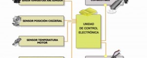 Grupo de sensores que se encuentra en el cuerpo del acelerador y el motor y que mandan información a la Unidad de Control Electrónica (ECU).