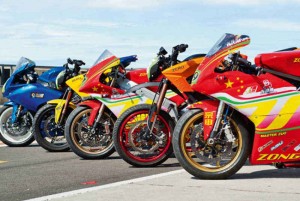 La de 2013 es la primera temporada que se disputa la Copa del Mundo FIM e-RoadRacing. Derivada de la unión de los dos campeonatos existentes hasta la fecha disputados sobre motos eléctricas, el TTXGP, y el e-Power Racing Series.