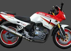 Una Zongshen ZS 200 GS.